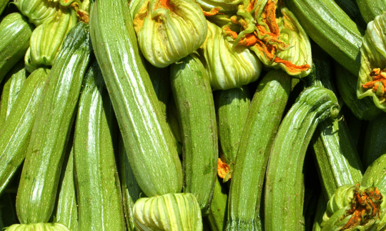 Can You Eat Courgette Raw
