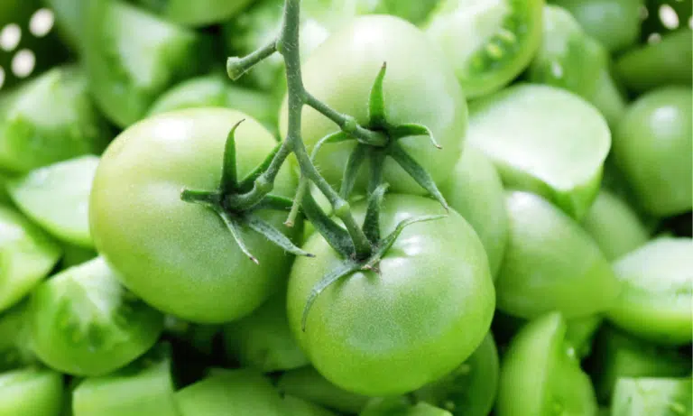 Can You Eat Green Tomatoes