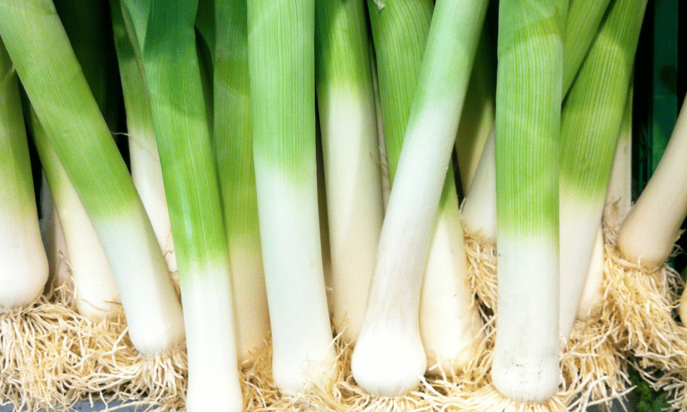 Can You Eat Leeks Raw