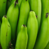 Can You Eat Green Bananas?