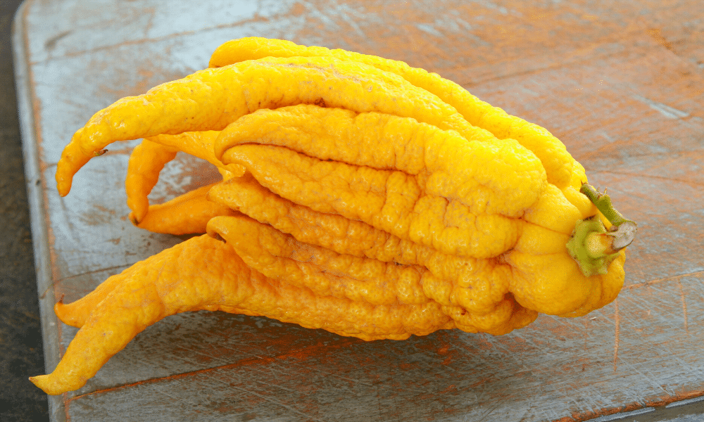 What is Buddhas Hand