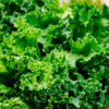 Can You Eat Kale Raw?