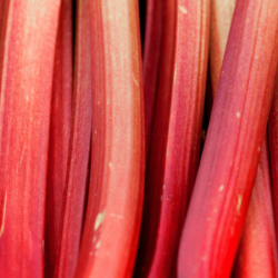 Does Rhubarb Need to Be Peeled?