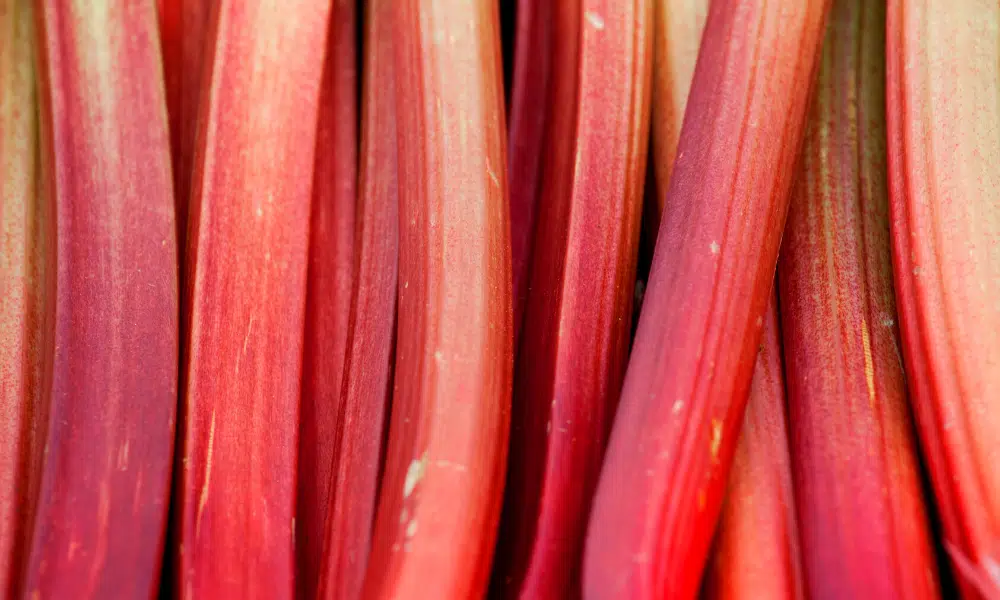 Does Rhubarb Need to be Peeled