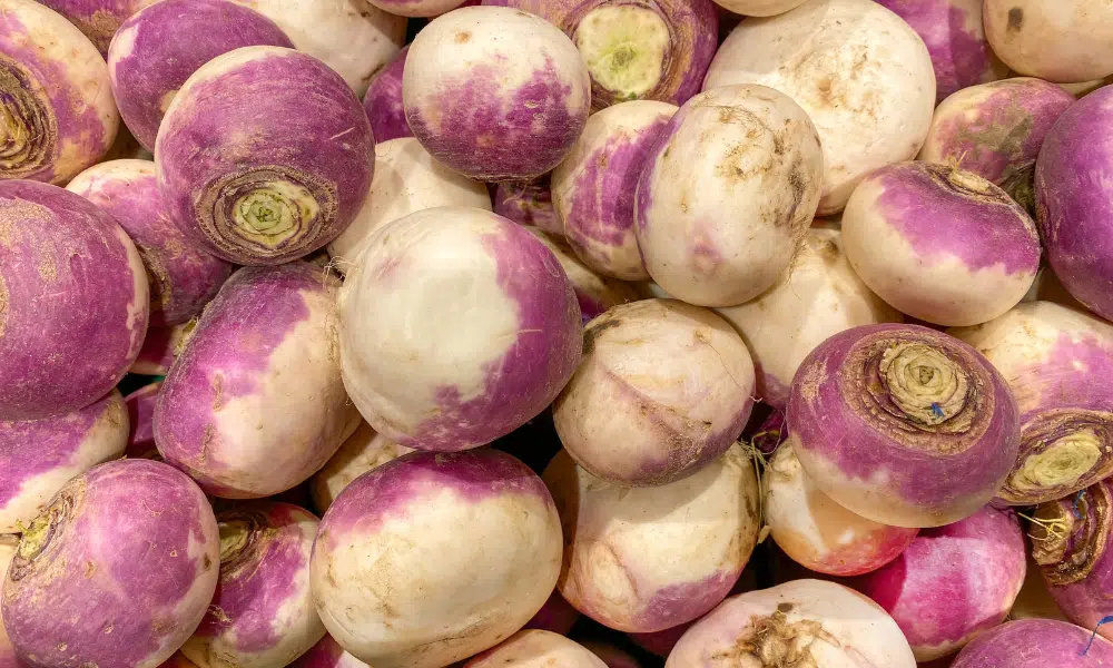 How to Freeze Turnips