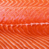 How to Microwave Salmon
