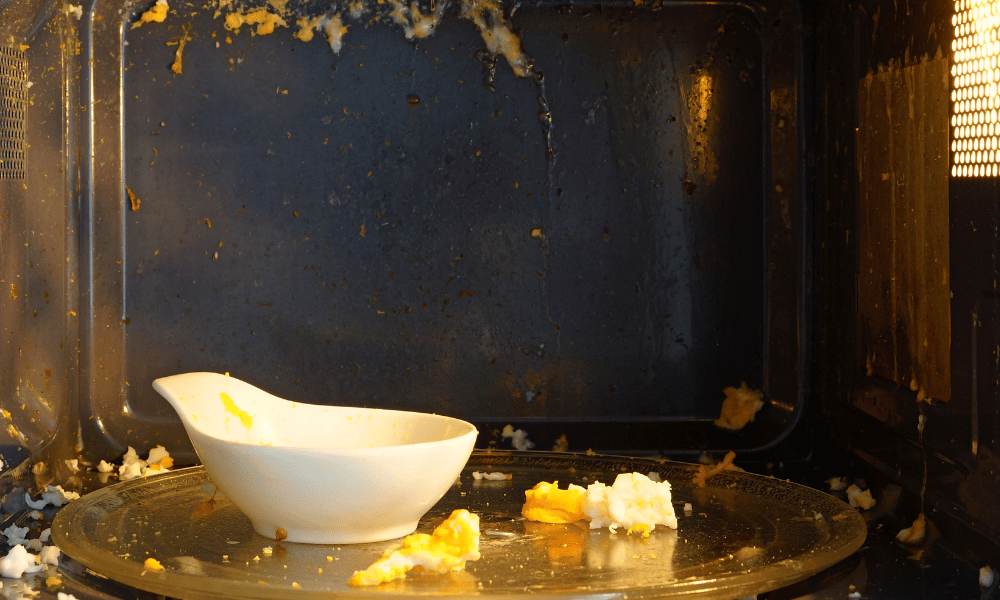 Reheating Boiled Eggs in the Microwave Gone Wrong