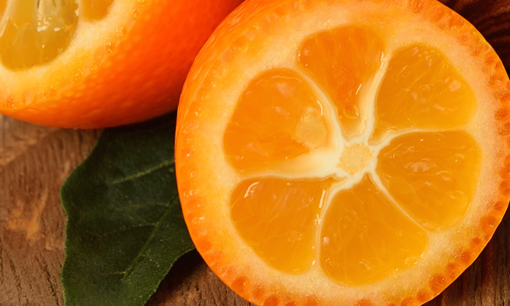 Kumquat Half