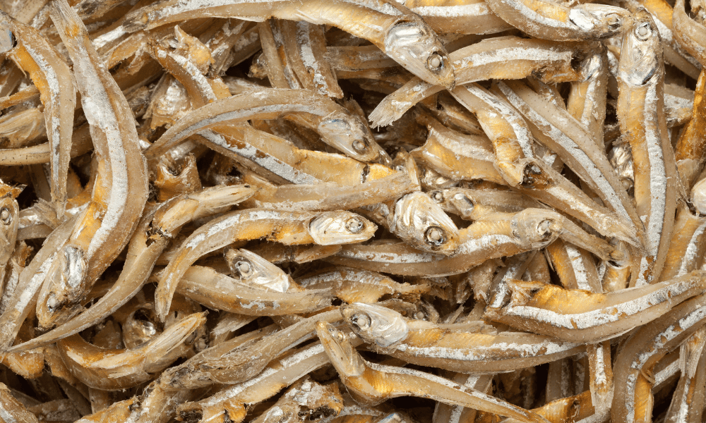 Anchovies for Fish Sauce