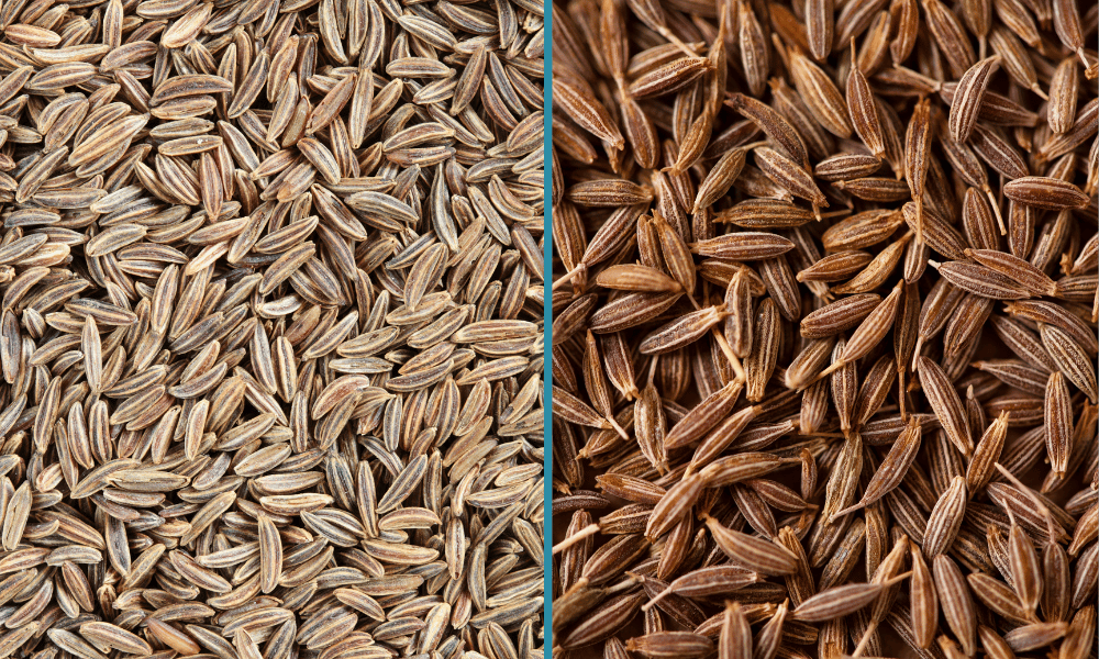 Caraway Seeds vs Cumin Seeds
