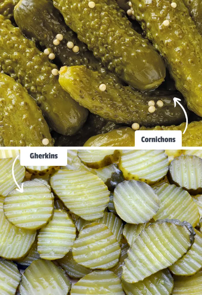 Cornichons and gherkins side-by-side for comparison with labels
