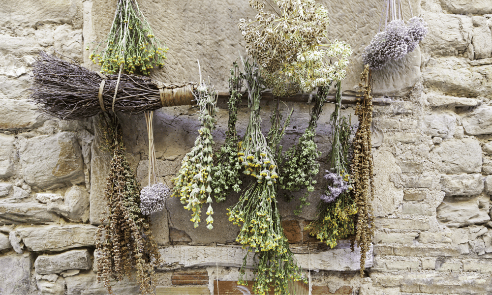 Traditional Herbes De Provence