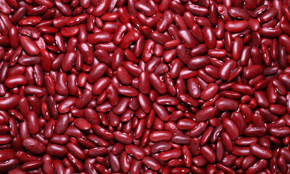 how to Reheat Kidney Beans
