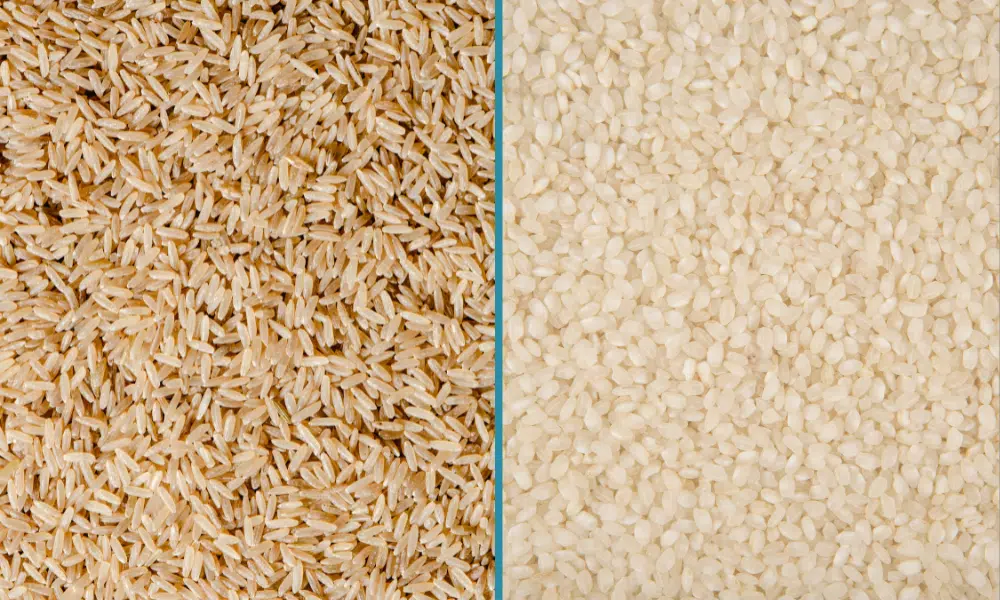 Brown Rice vs Sushi Rice