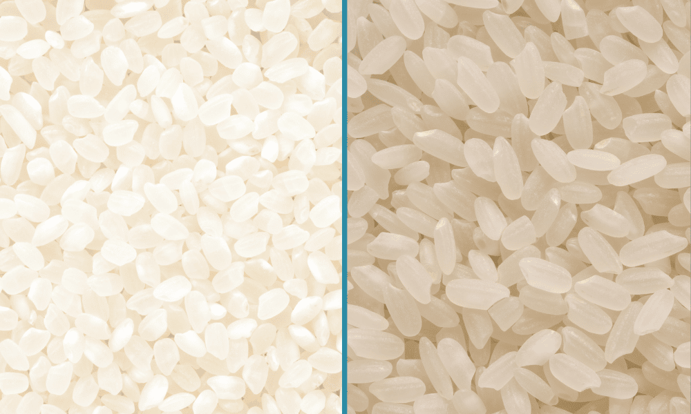 Sushi Rice vs Calrose Rice