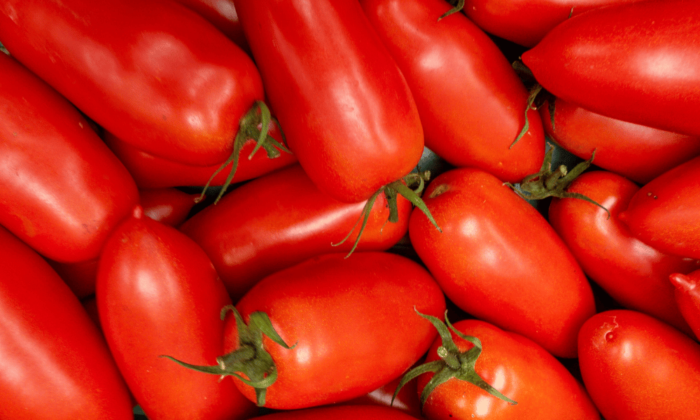 San Marzano Tomatoes