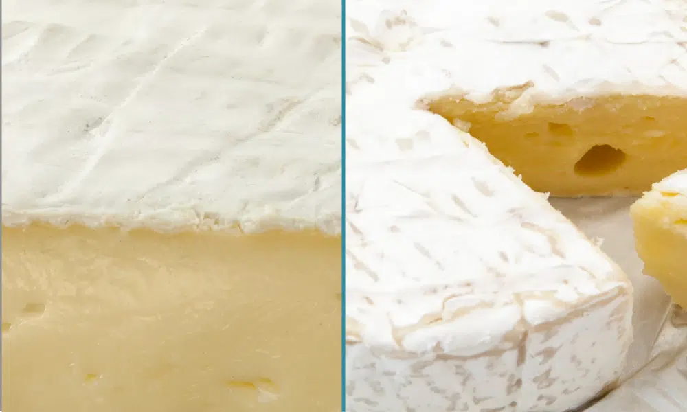 Camembert vs Brie