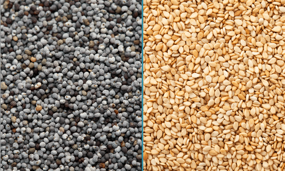 Poppy Seeds vs Sesame Seeds