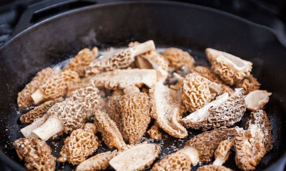 Saute Mushrooms Morels