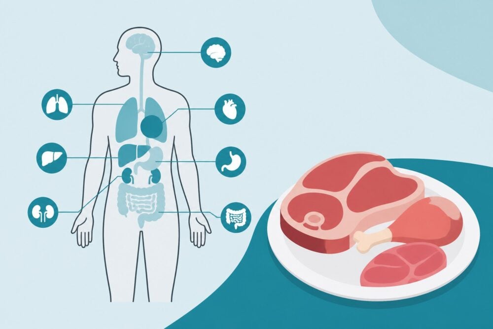 13 Diseases Linked to High Meat Consumption That Have Nothing to Do With Cancer